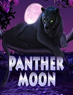 เทคนิค เล่น สล็อต ปลาทอง สำหรับมือใหม่